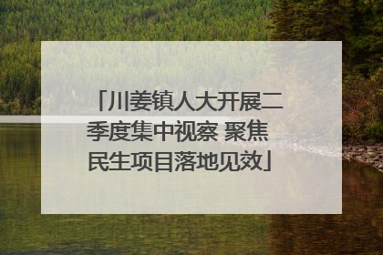 川姜镇人大开展二季度集中视察 聚焦民生项目落地见效